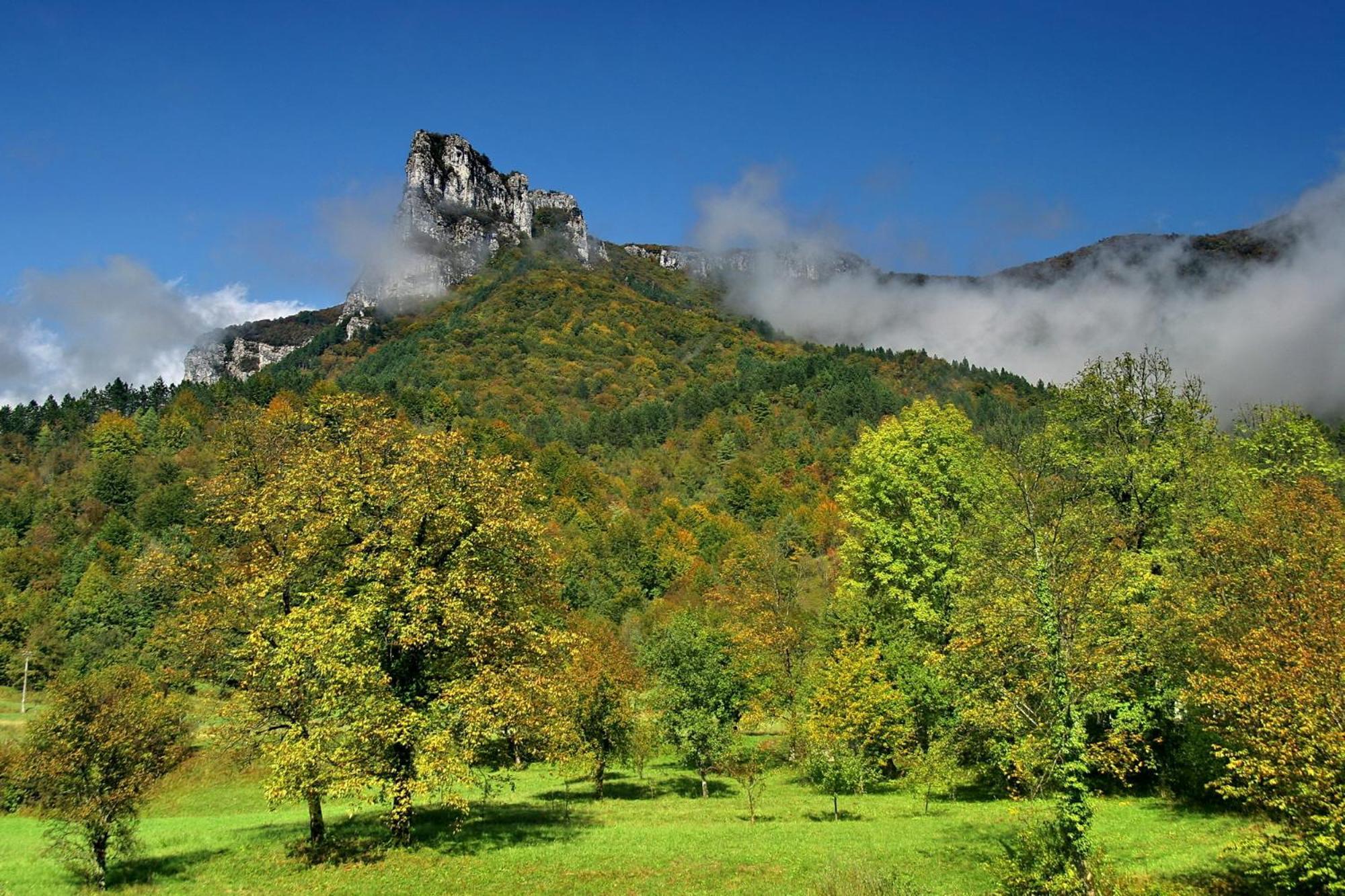 Hotel Kovac Osilnica Екстер'єр фото